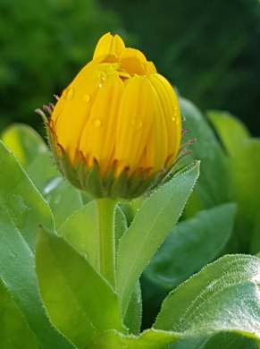 67909806_819966178399683_640284842495311872_n